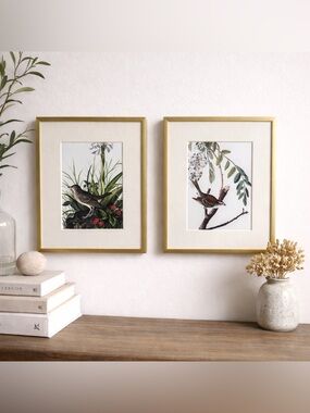 Set of 2 Botanical Bird Prints in Gold Frames